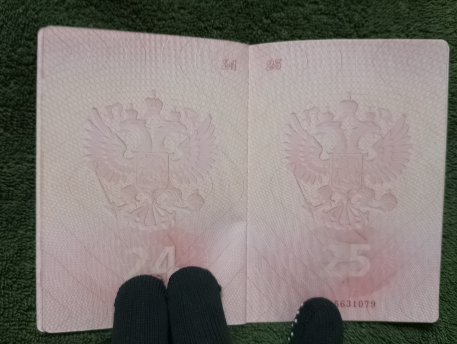 Two foreign travel passports belonging to a female Russian citizen.