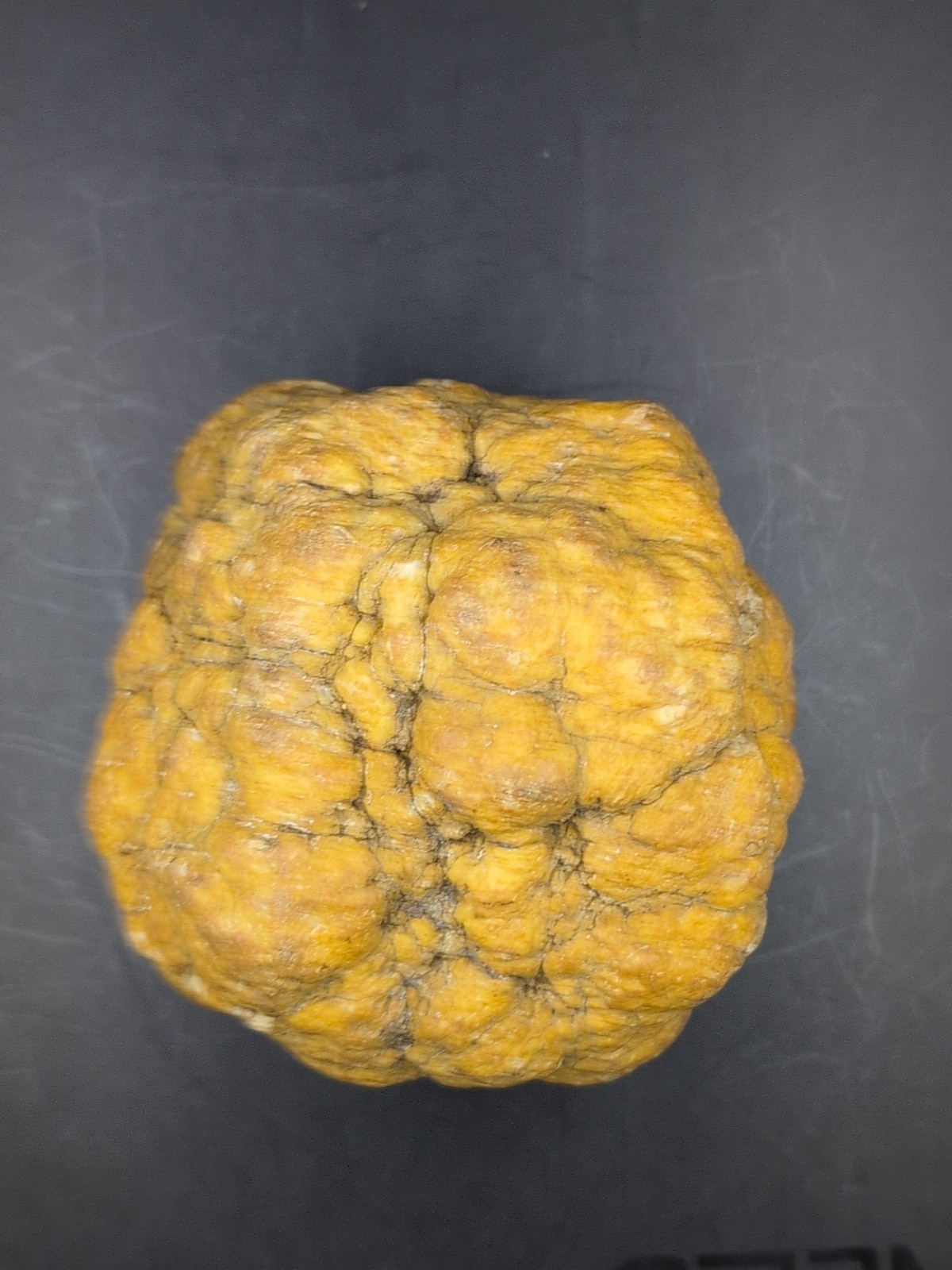 Large Quartz Nodule Concretion 5 lb Botryoidal Milky Quartz Mineral Specimen