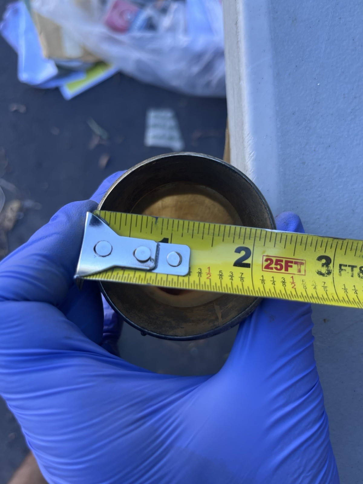 Vintage Russian Viking Caucasian Drinking Horn Sterling Silver Bird Head Chain