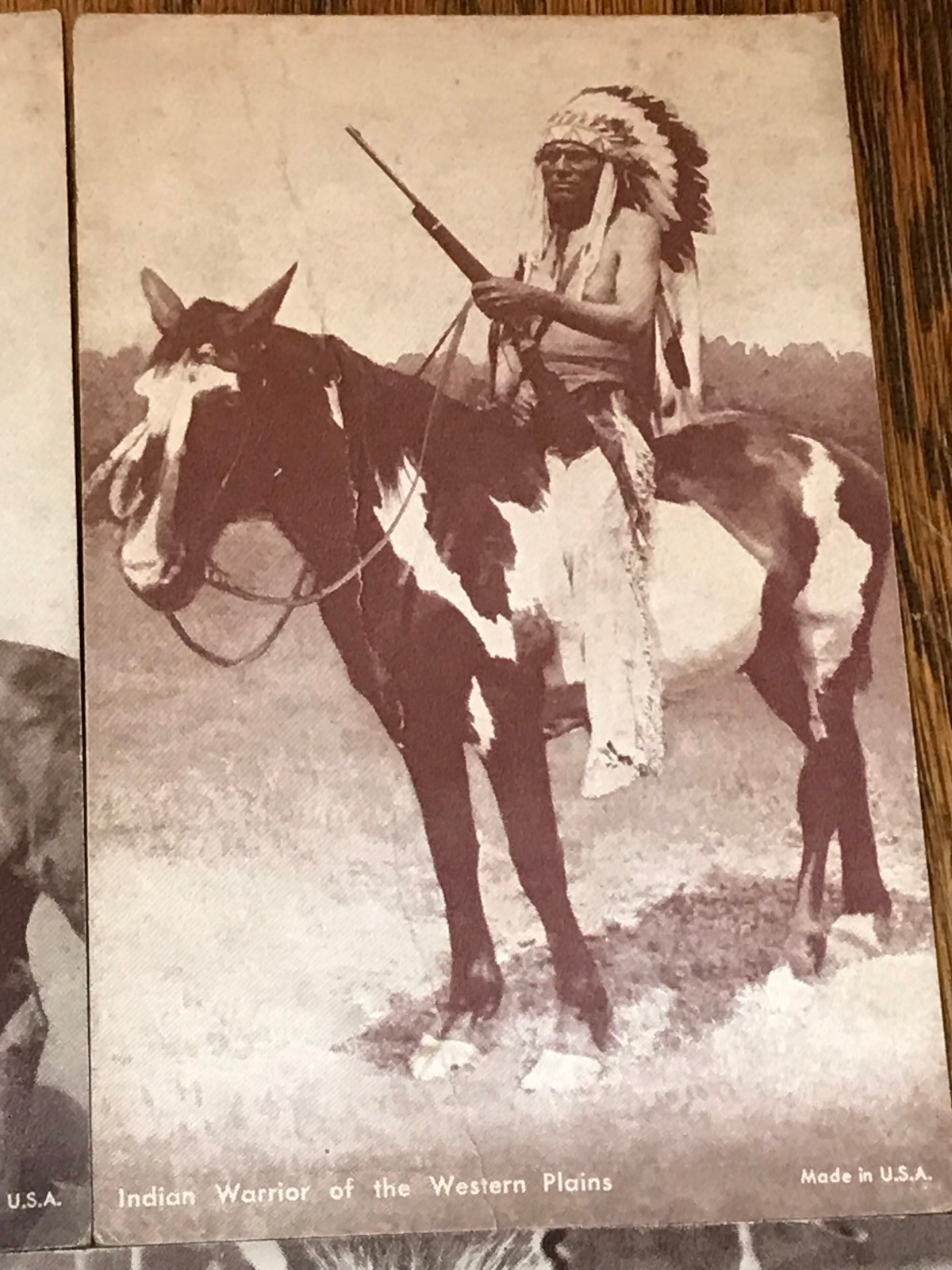 Antique Lot Of 10 Native American Indian Arcade Cards Exhibit Cheyenne Blackfoot