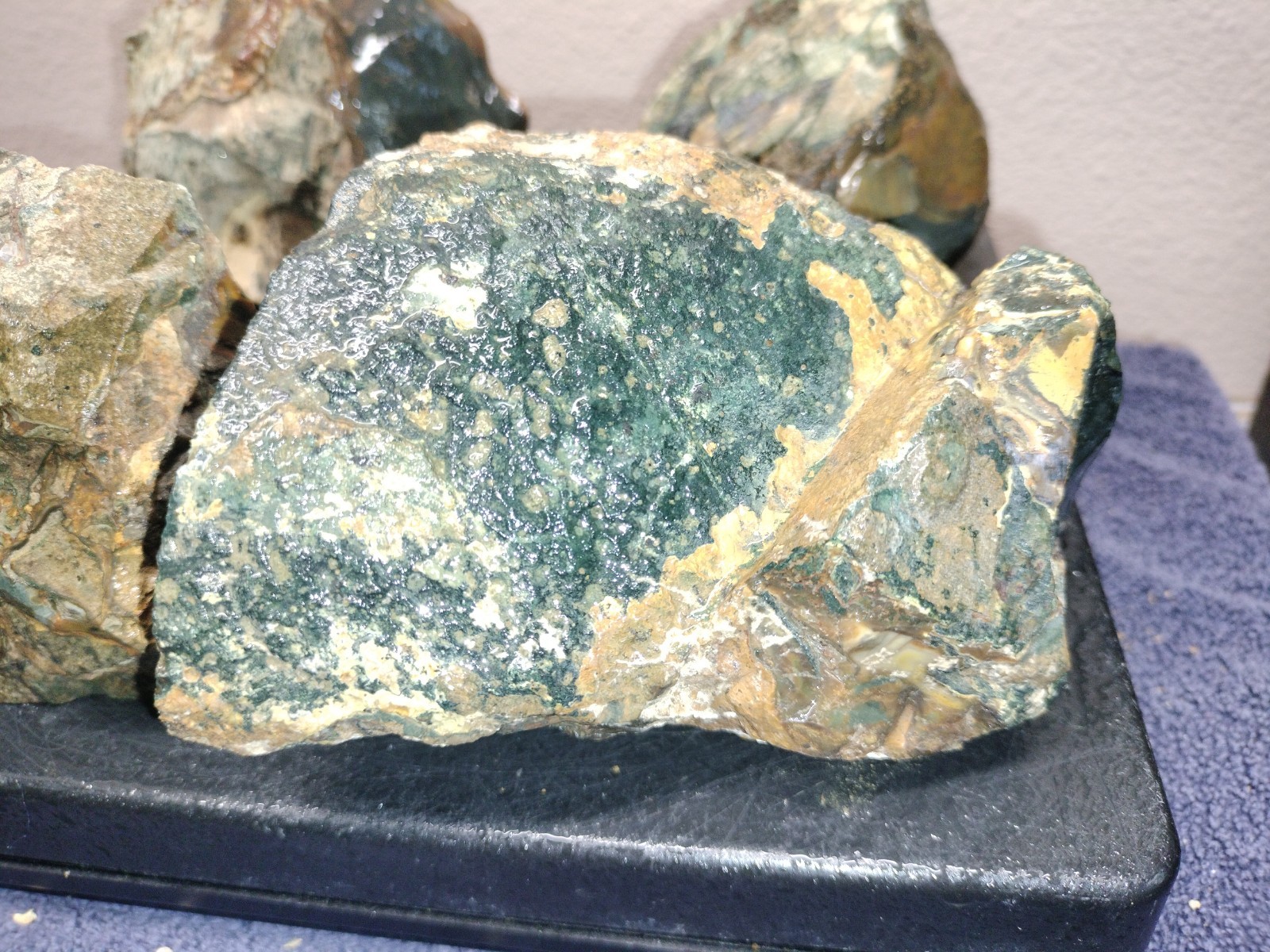 6.2LB ORBS Blue Mountain Picture of Jasper Rough 4pc Lot #23