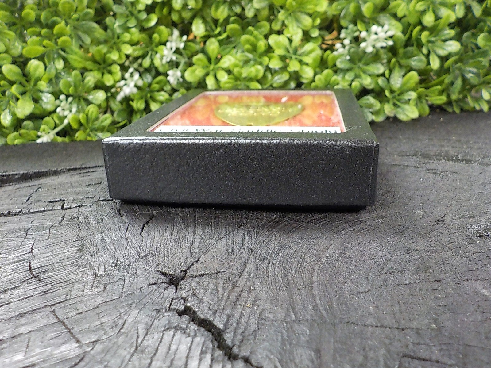 11 1/2 Inch Calvary Saddle Shield with Free Display Case for Display and Protect