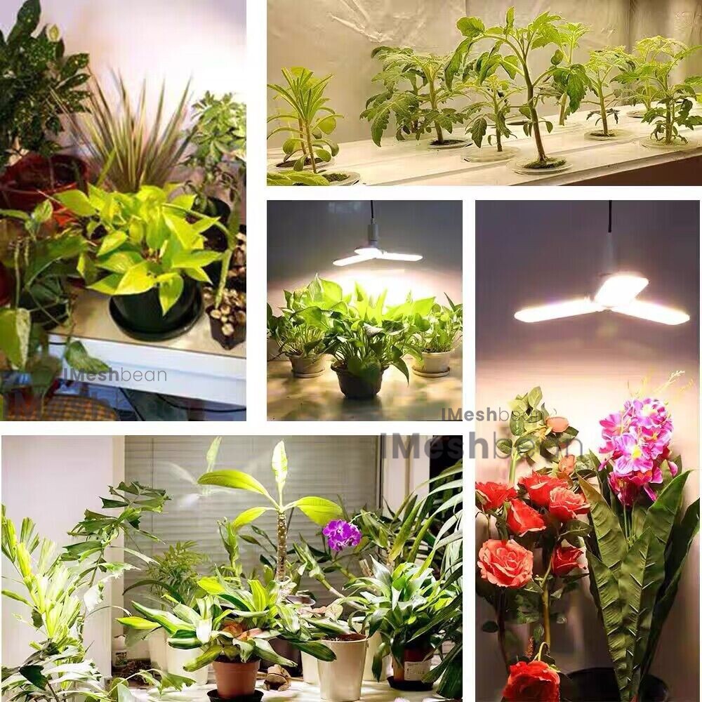 48"x48"x80" Complete Grow Tent Kit w/LED Full Spectrum Grow Light+Air Filter Kit