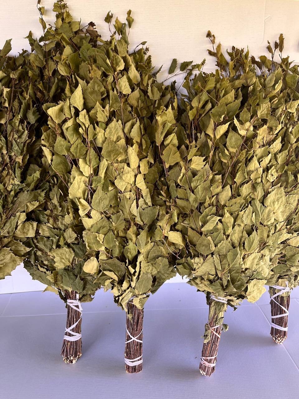 12 Oak brooms sauna banya venik Eiche whisks eco 2025 Ukrainian