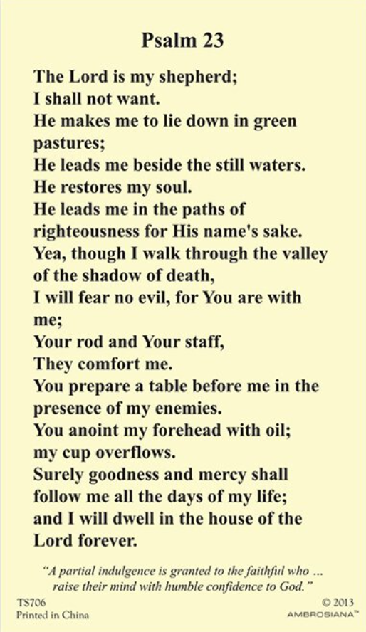 (2 copies) Psalm 23 The Lord is My Shepherd Holy Prayer Card Catholic Christian