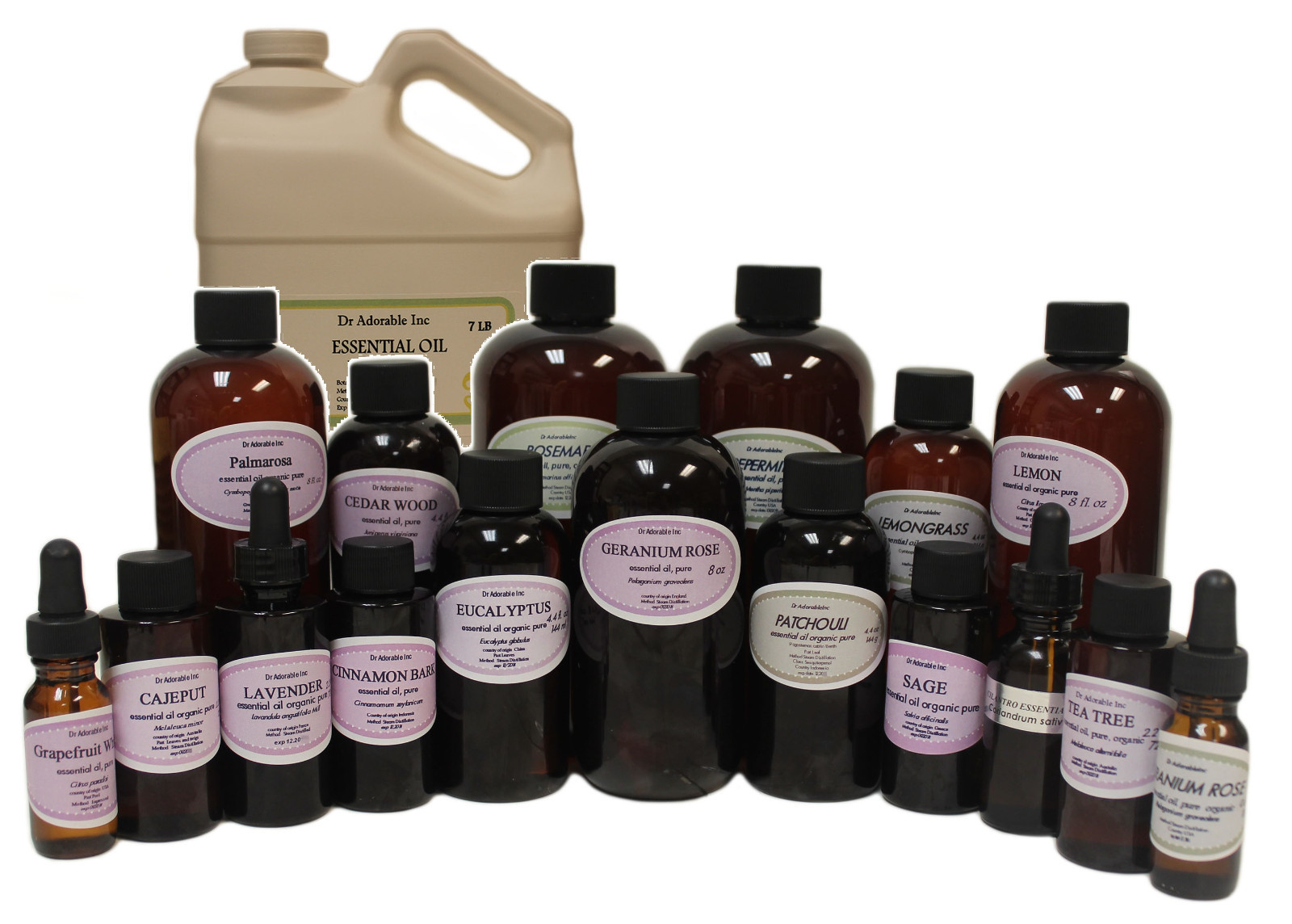 PURE ORGANIC CEDAR WOOD ESSENTIAL OIL UNCUT 100% PURE FROM 0.6 OZ UP TO 32 OZ