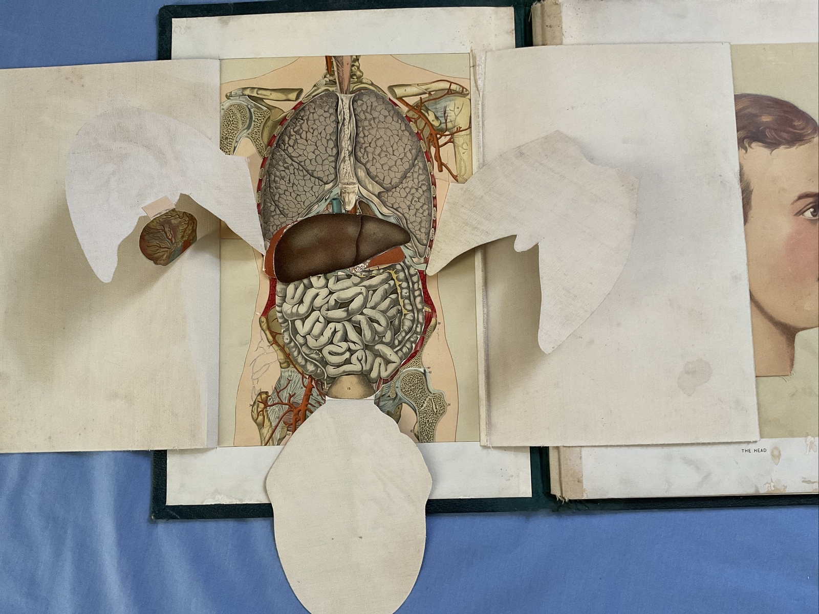 Antique Medical Anatomy Book Embalmer Anatomy Book Binder 1903