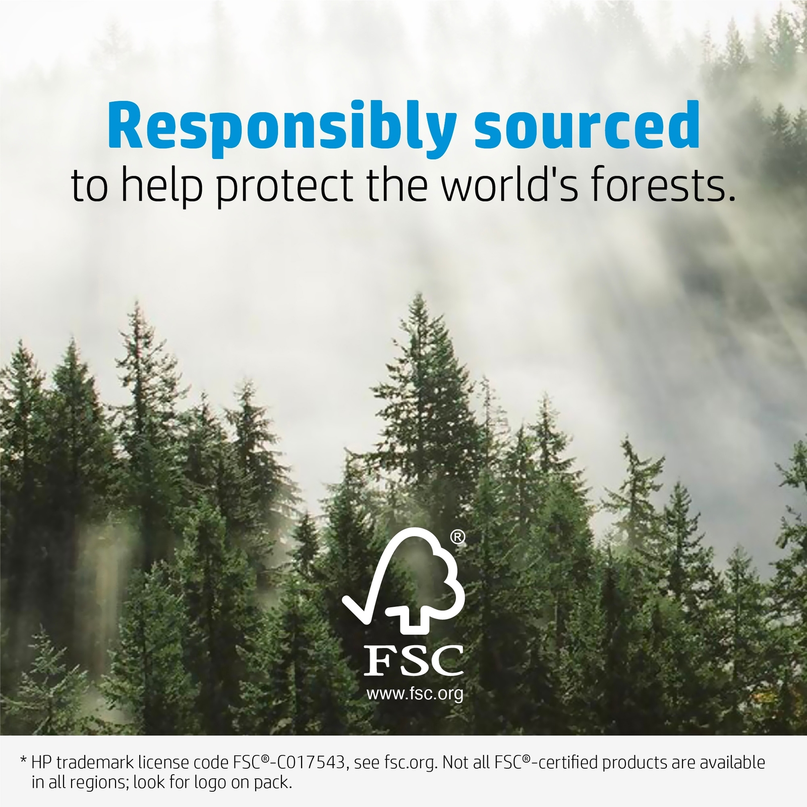 HP Everyday Photo Paper, Glossy, 52 lb, 4 x 6 in. (101 x 152 mm), 50 sheets