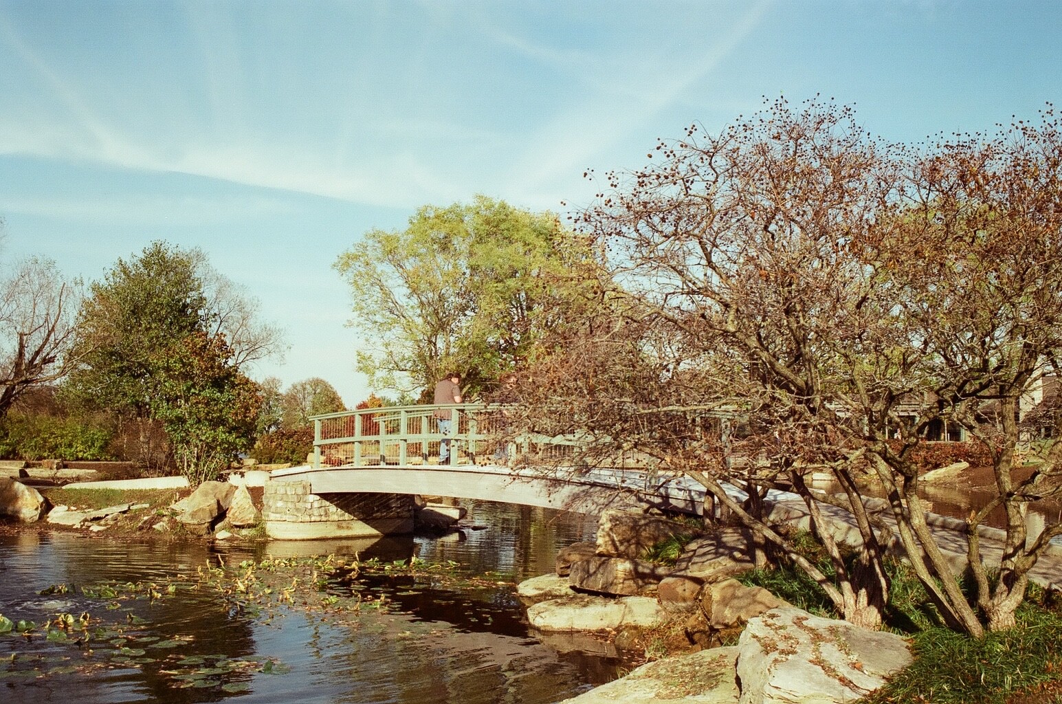 Cyberpunk 400D 36 exp C41 35mm Color Negative Film NO REMJET Kodak Vision3 250D