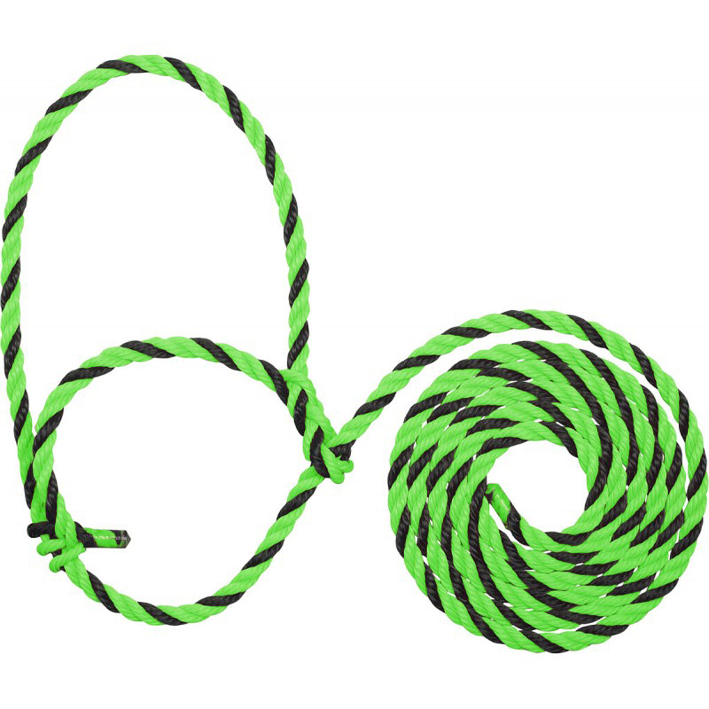Cattle Bovine Adjustable Halter with Rope Lead Showing Lime and Black Poly