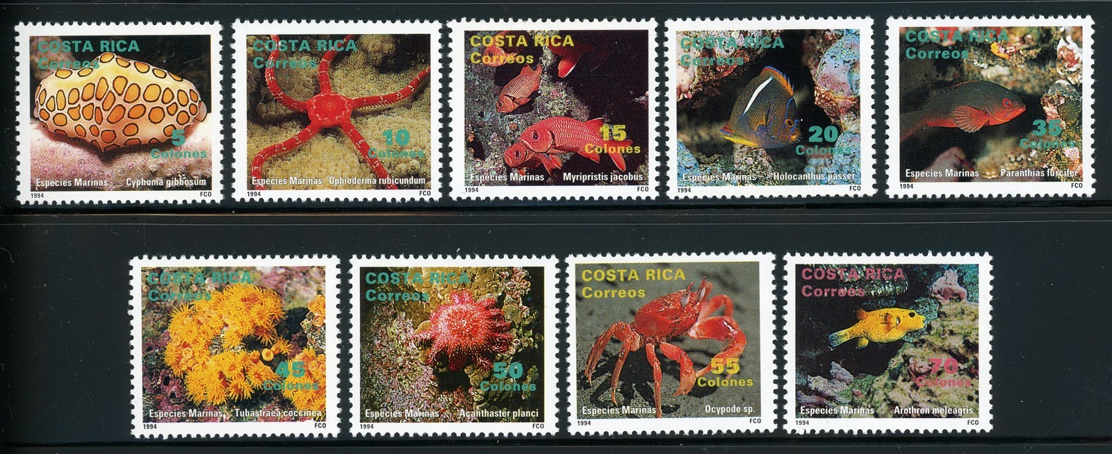 COSTA RICA MNH: Scott #466-474 Marine Life Starfish FAUNA #1 CV$29+