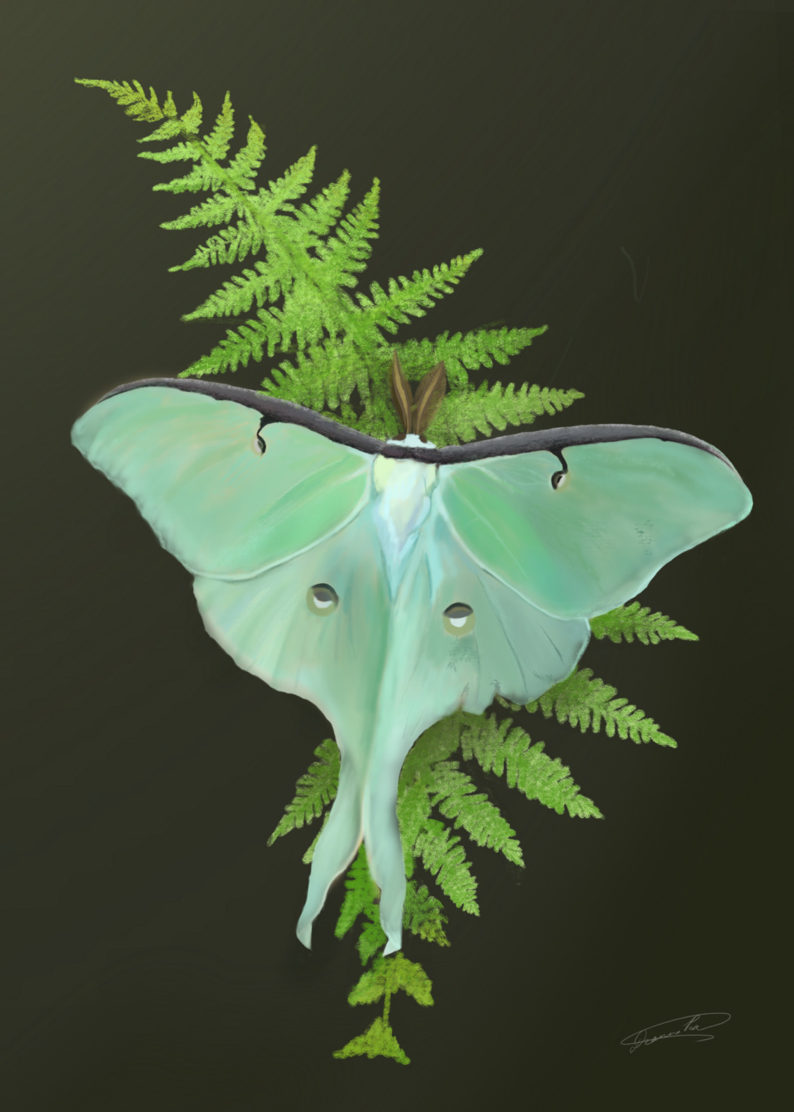 ACEO PRINT Witchy Luna Moth Green Fern Leaf Cottage Core Oil Painting  3.5x2.5