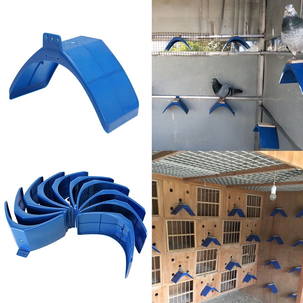 20x Pigeon Dove Bird Rest Stand Frame Dwelling Perches Roost Bird Supplies Blue
