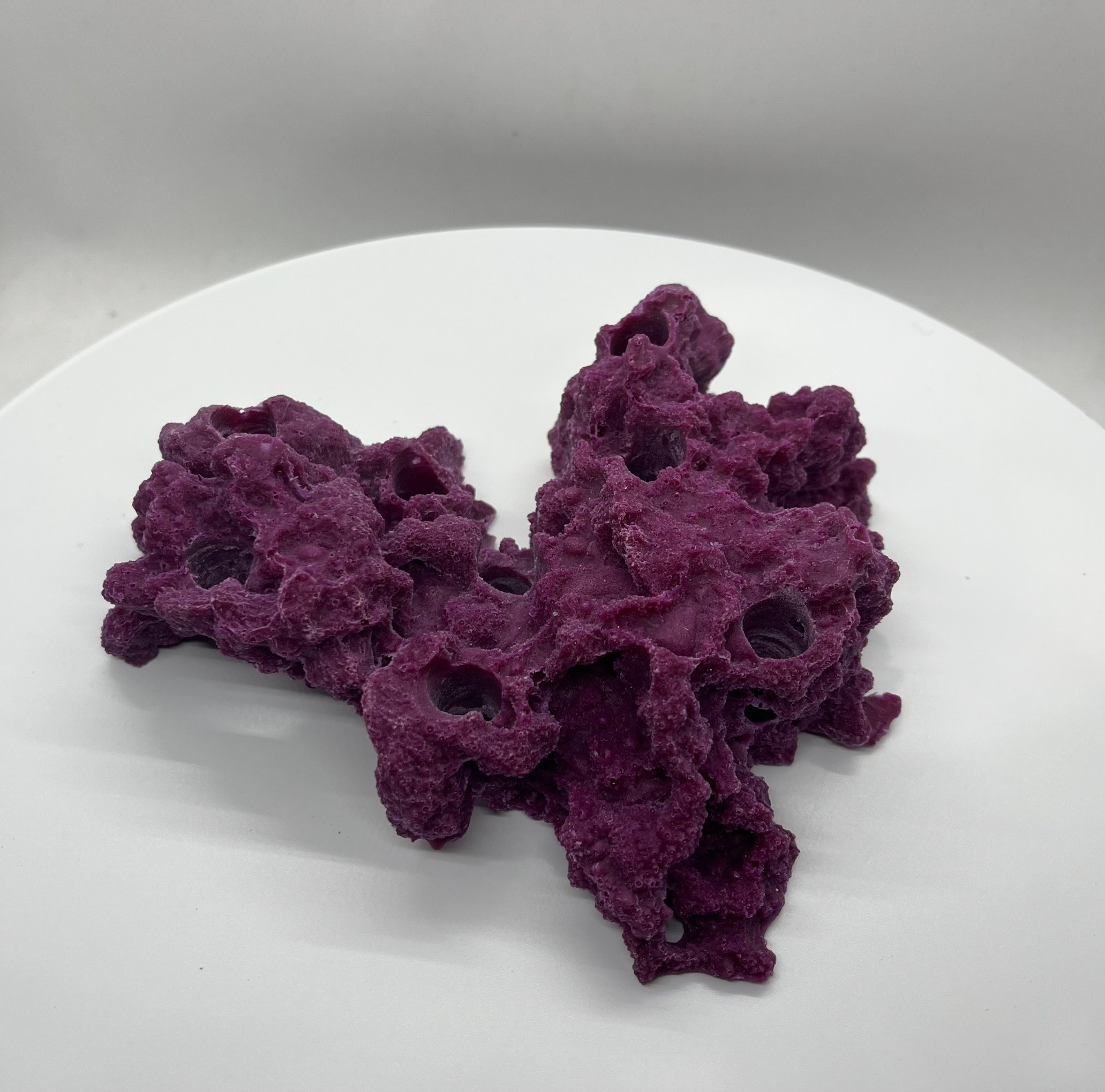 8 Hole Sandbed Frag Rack/Rock base for Live Coral Plug Ons