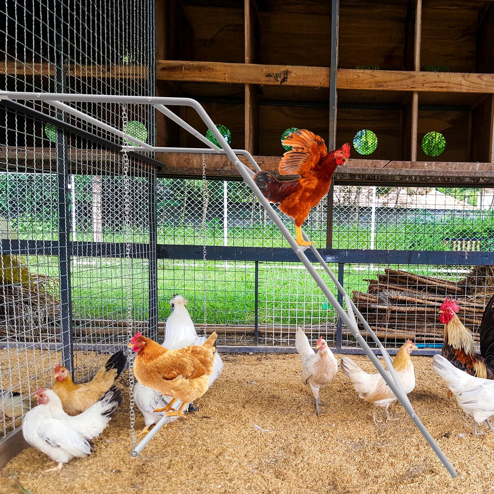 Chicken Coop Perches with Swing, Metal Chicken Roosting Bars, Chicken Run Toy...