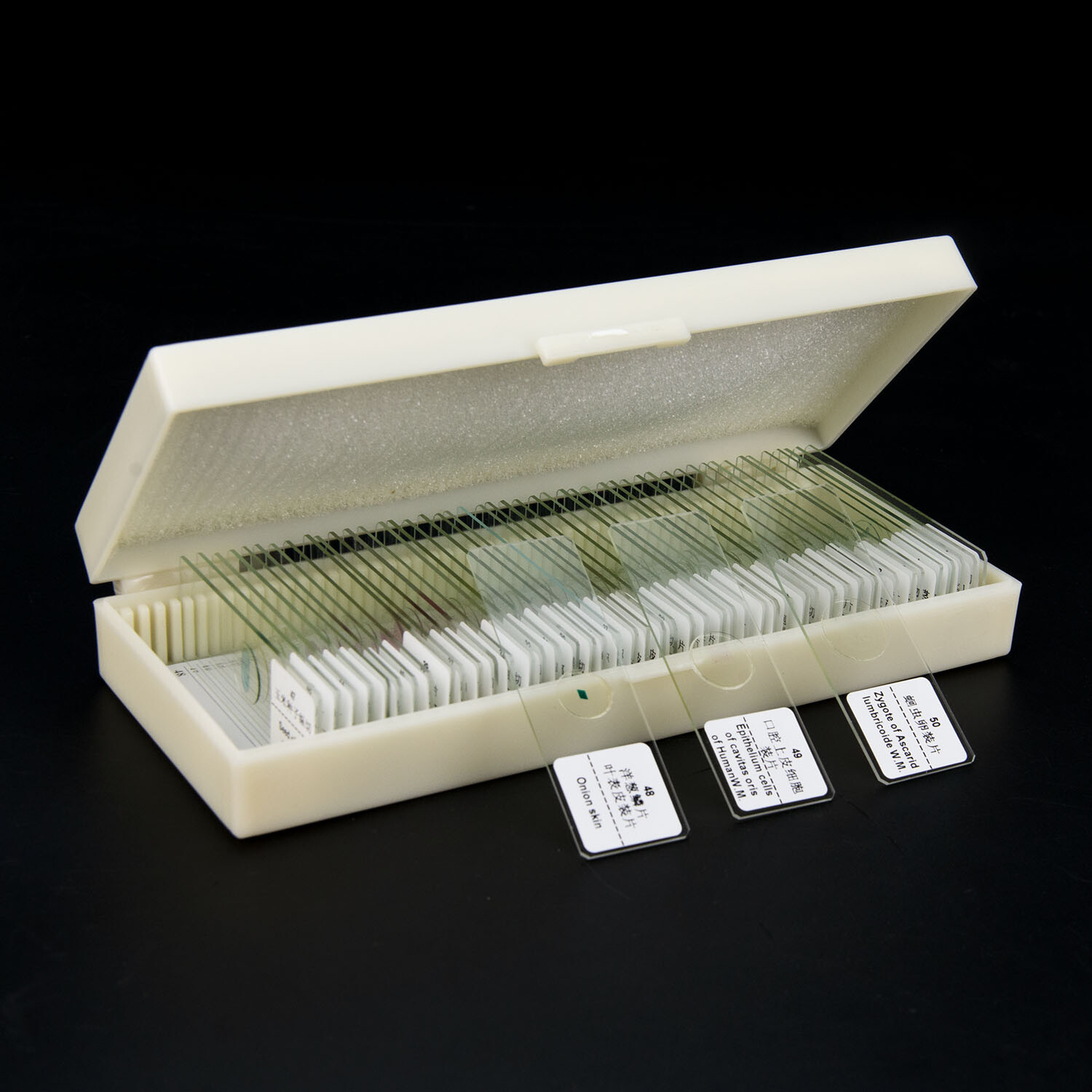 50pcs Glass Prepared Microscope Slides Biological Microscope Specimen Set