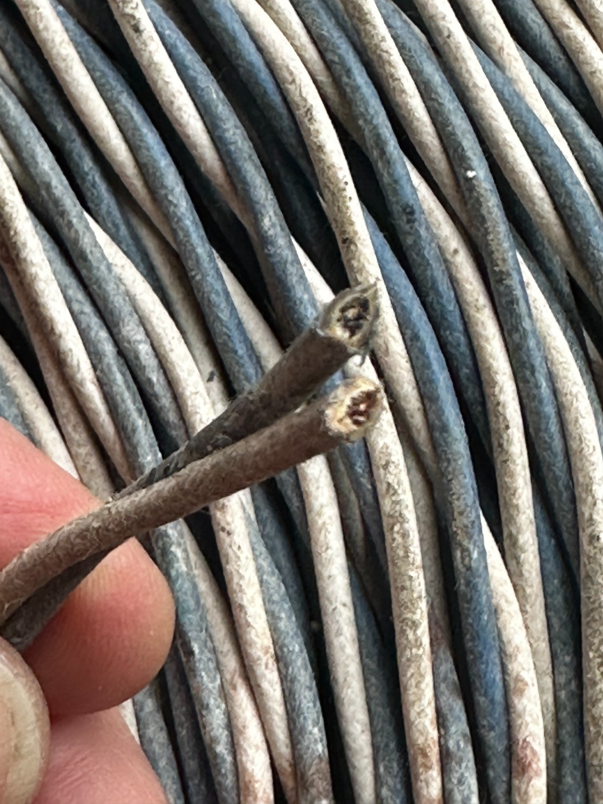 100 m Siemens 328 ft. 2 * 1 mm wire vintage 1940ies speaker cable vintage