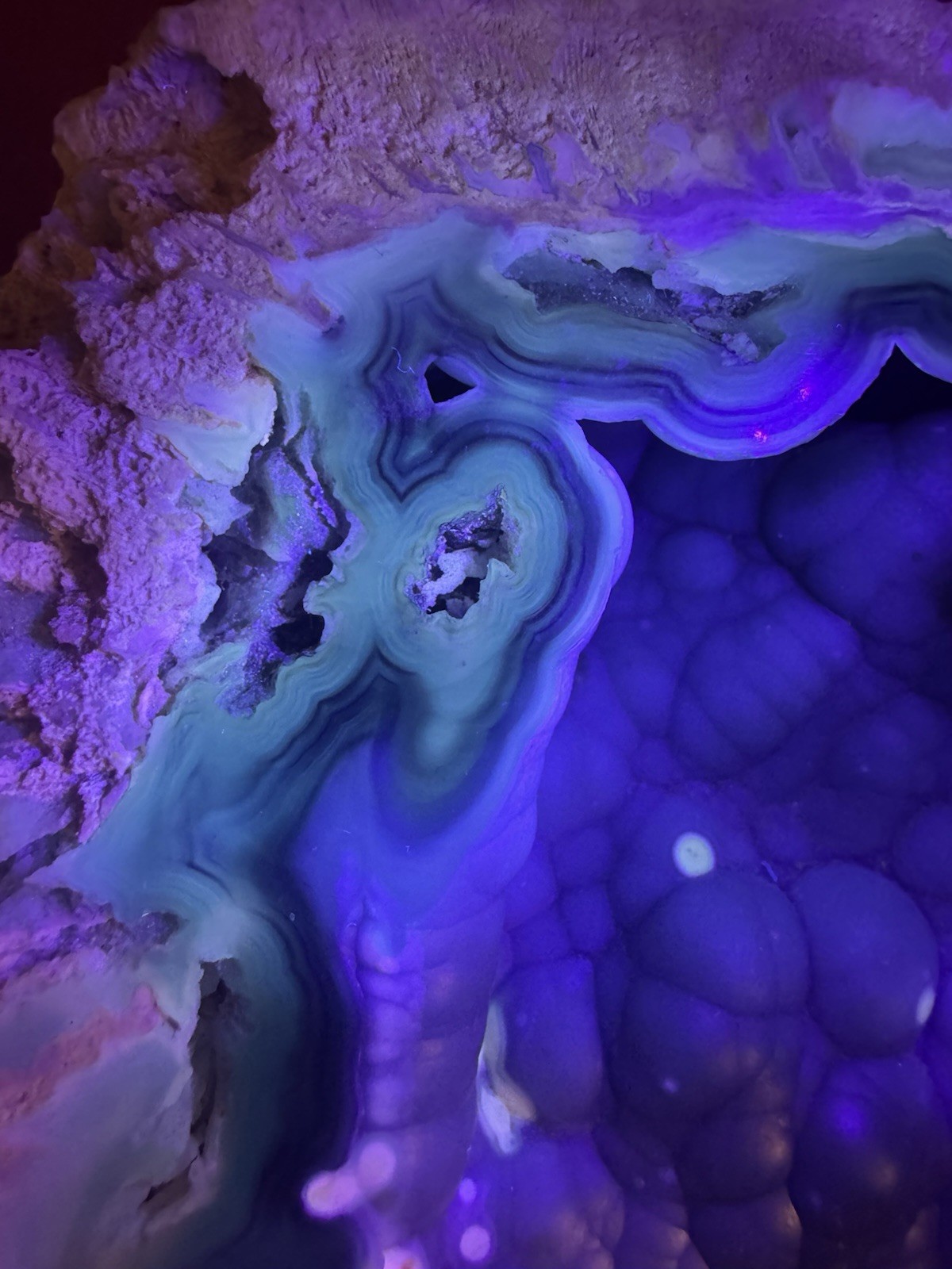 Rare Agatized Coral Fossil Geode -Large, Rare Colors!