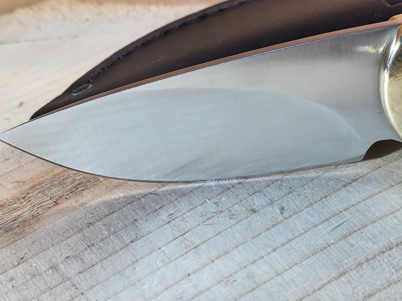 Buck 113 Ranger Skinner Knife with Leather Sheath