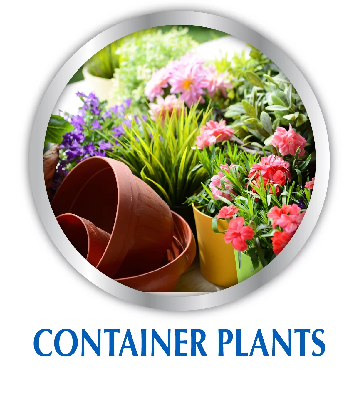 Fish Emulsion Plant Food, 5-1-1 Fertilizer