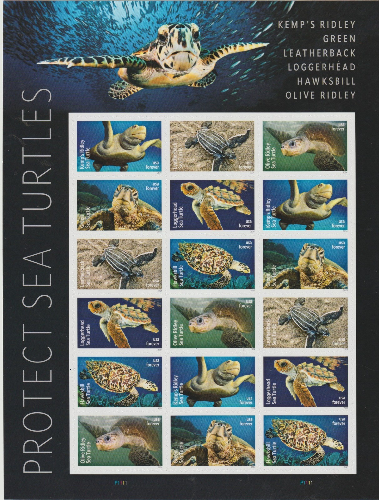 2024 Protect Sea Turtles USPS Sheet of 18 Forever Stamps Sent from OKC, OK