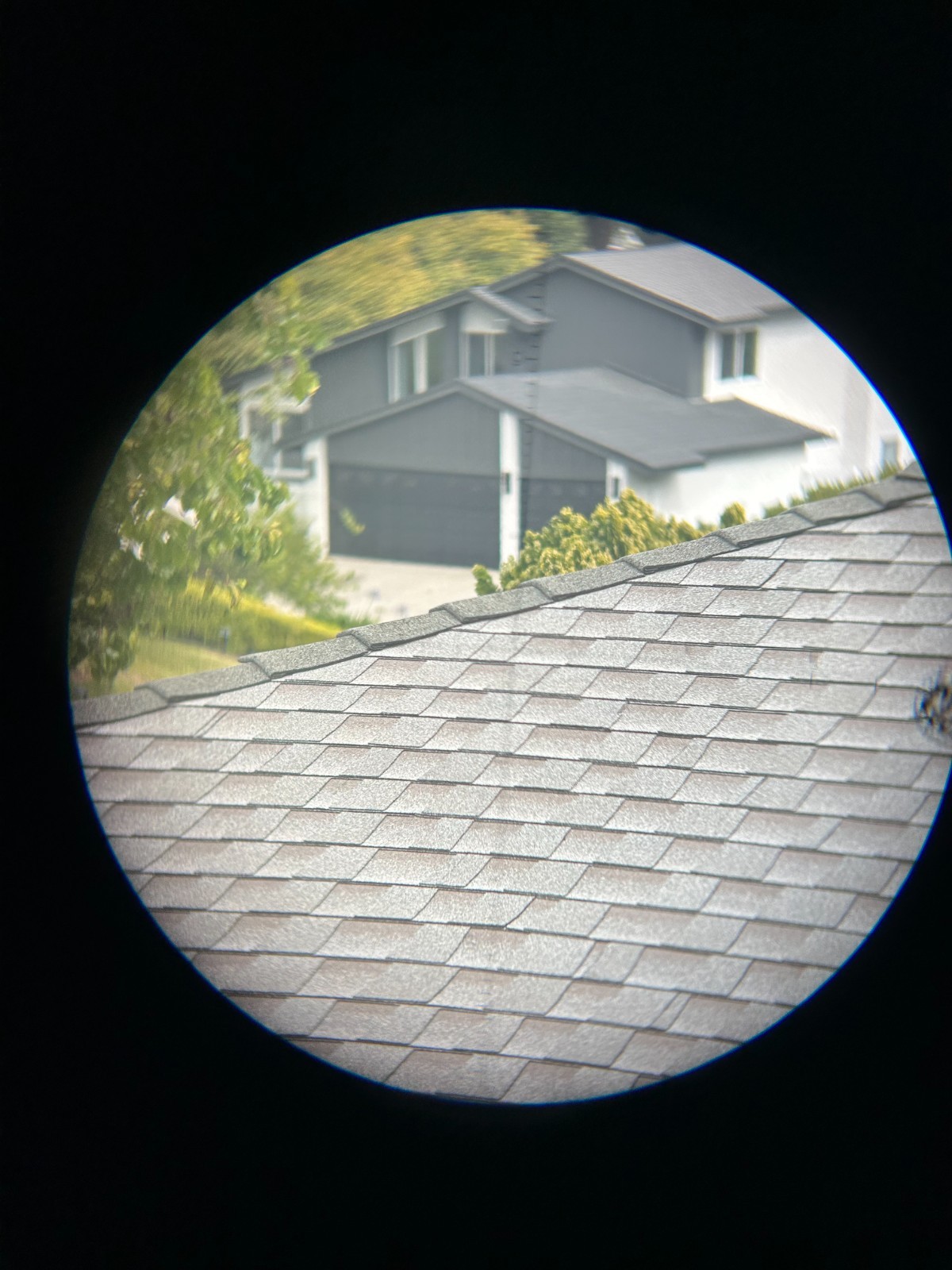 C.P. Goerz Berlin 6x30 Wien u Pozsony Austro Hungarian Artillery WW1 Binoculars