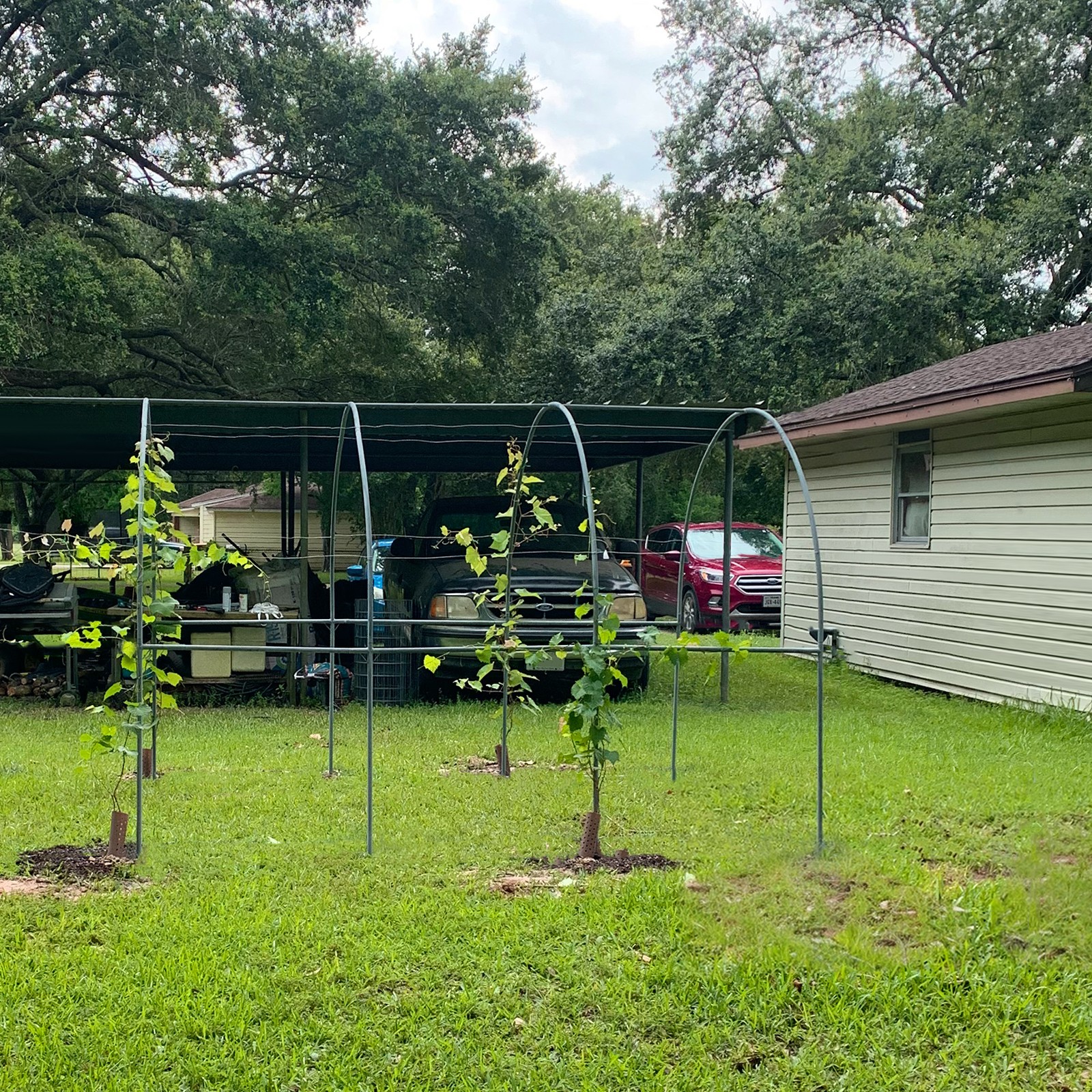 Large Size Steel Garden Arch Rose Arbor Climbing Plant Grape Support Frame Yard