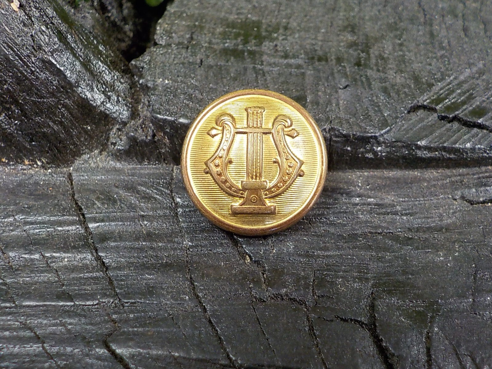 Old Rare Vintage Antique War Relic Military Musician Coat Button Loaded w/ Gold