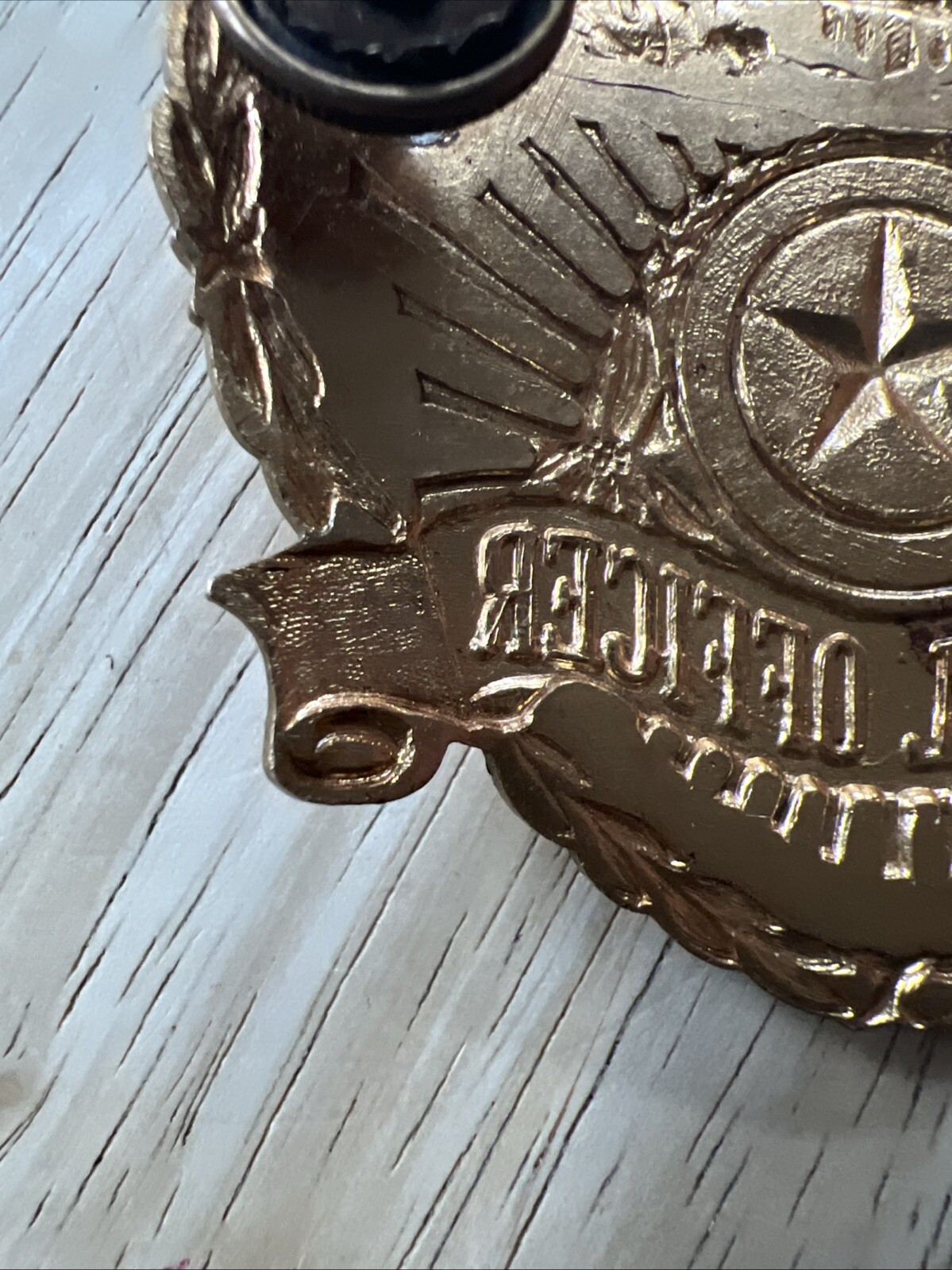 Vintage Double Screwback Special Hat Pin