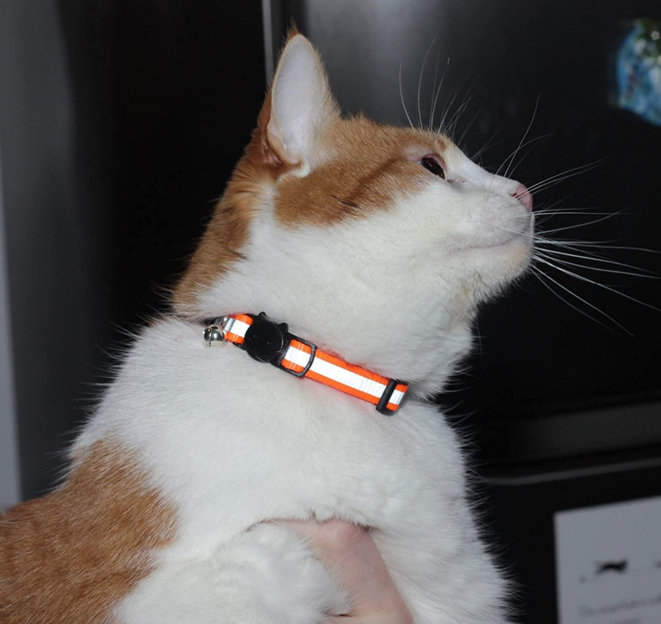Cat Collar With Bell 6 Pack Durable Breakaway Adjustable Reflective Cat Collars.