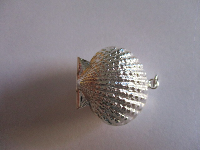 Gorgeous sterling silver pill box pendant shell style engraved both side