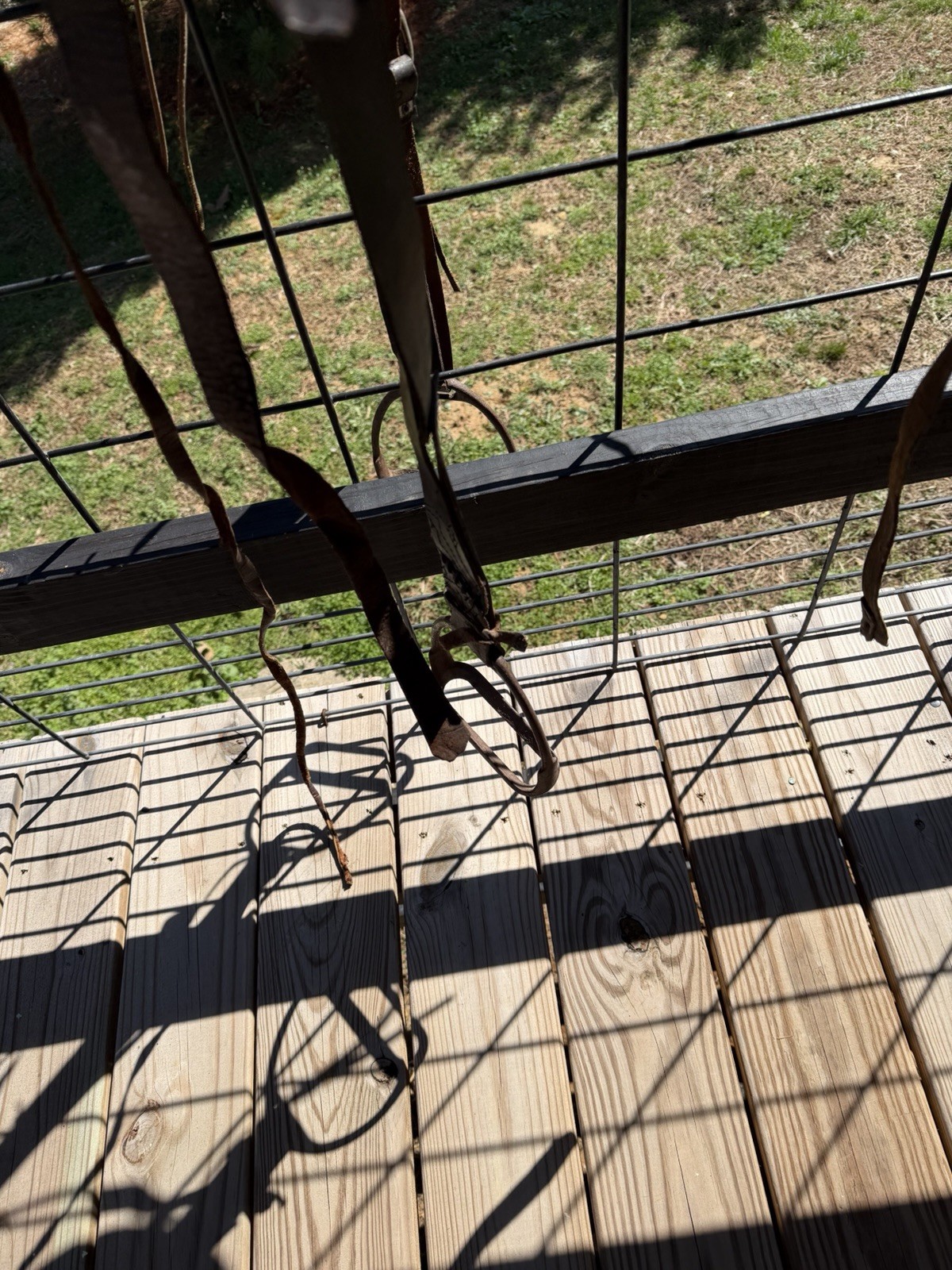 Antique World War I 12 inch McClellan Calvary Saddle, All Original W/ Stirrups