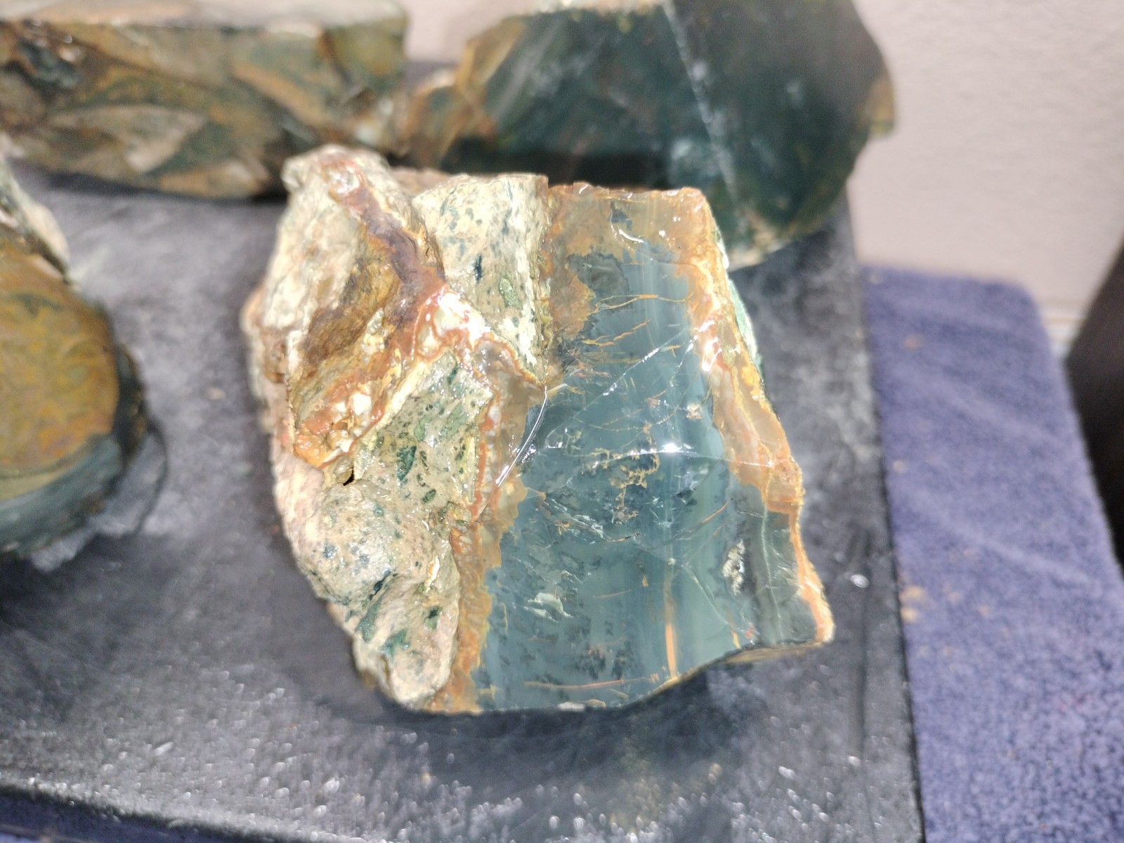 6.2LB ORBS Blue Mountain Picture of Jasper Rough 4pc Lot #23