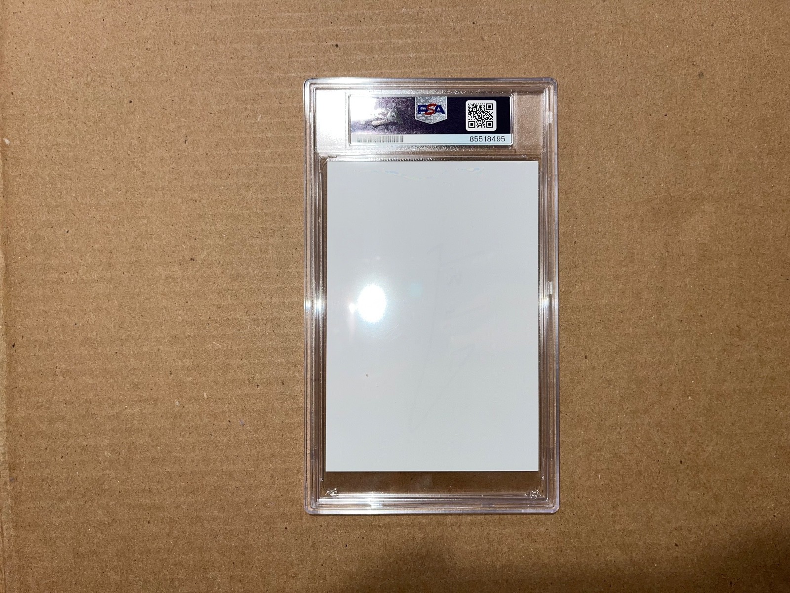 Billie Eilish Signed Autographed PSA/DNA Slab Slabbed Encapsulated Autograph