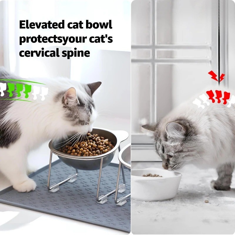 Raised Cat Bowl Tilted 15° Stainless Steel Elevated Pet Food Dish
