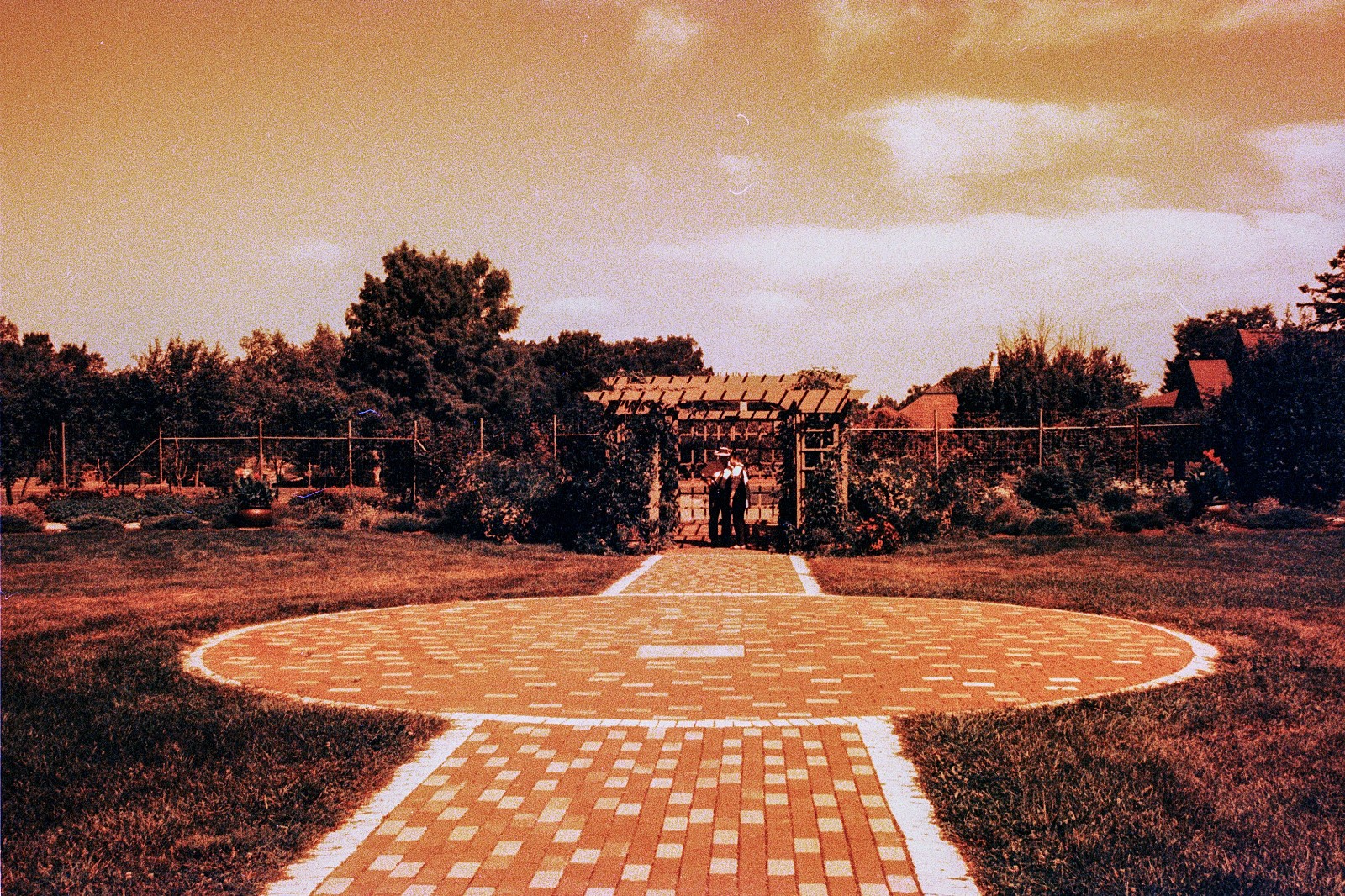 THE MARS PROJECT - BRAND NEW 35mm Color Negative Film 80 ISO - Experimental Fun