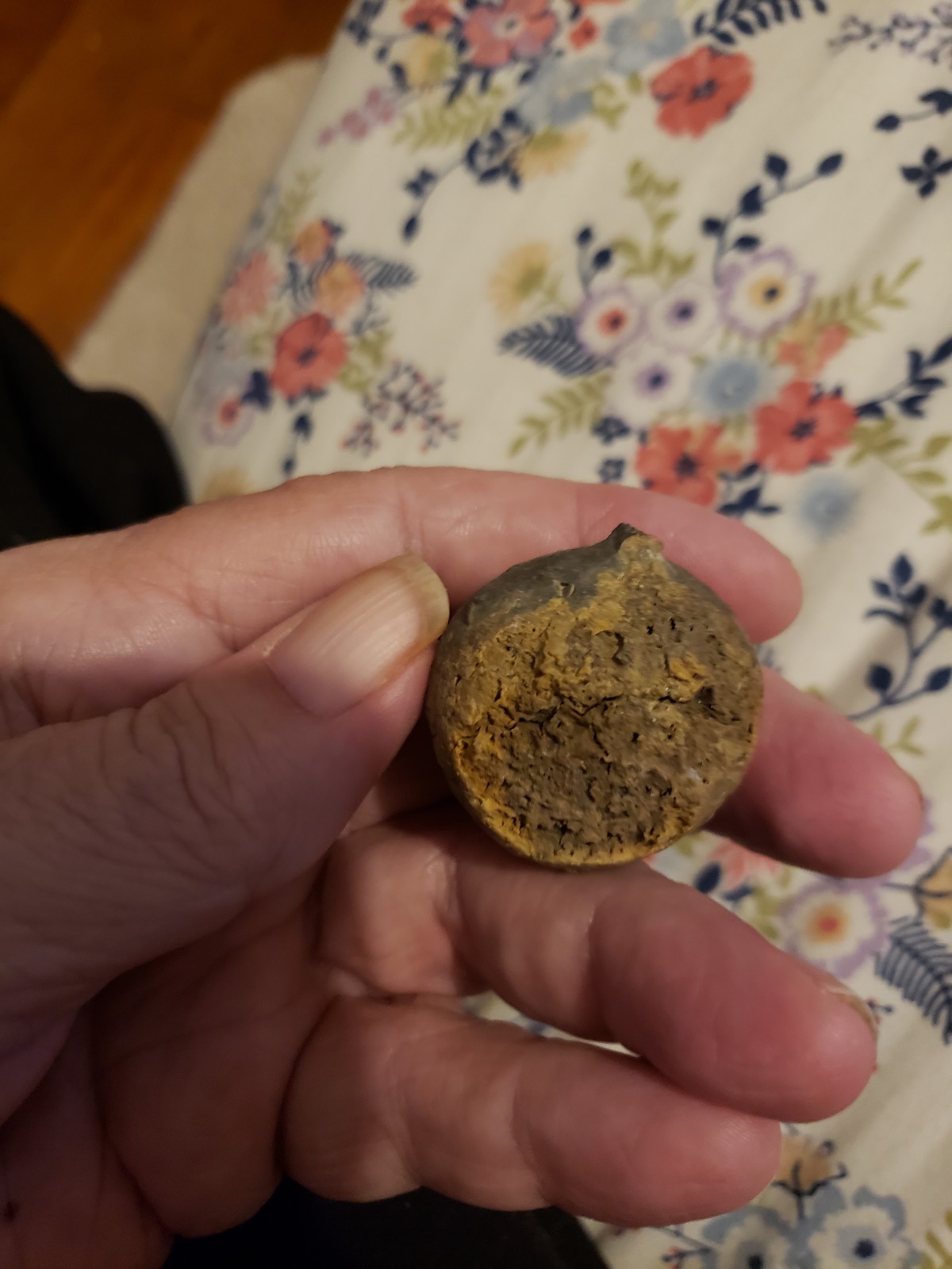 RARE.ANAL PYRAMID Cystoid Echinosphaerites Fossil Crinoid Trilobite RARE FOSSIL