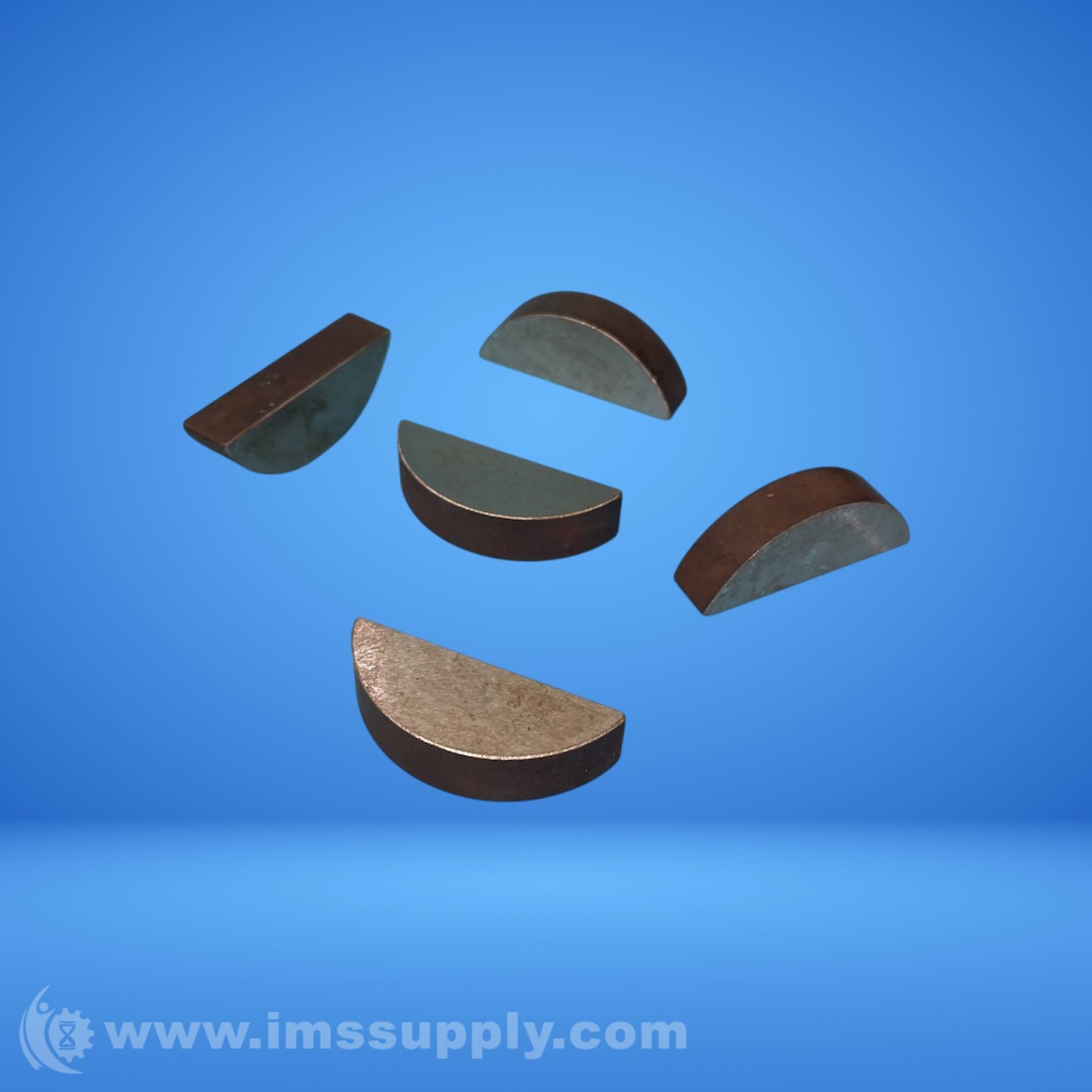 COIN Copper Planchets FNIP