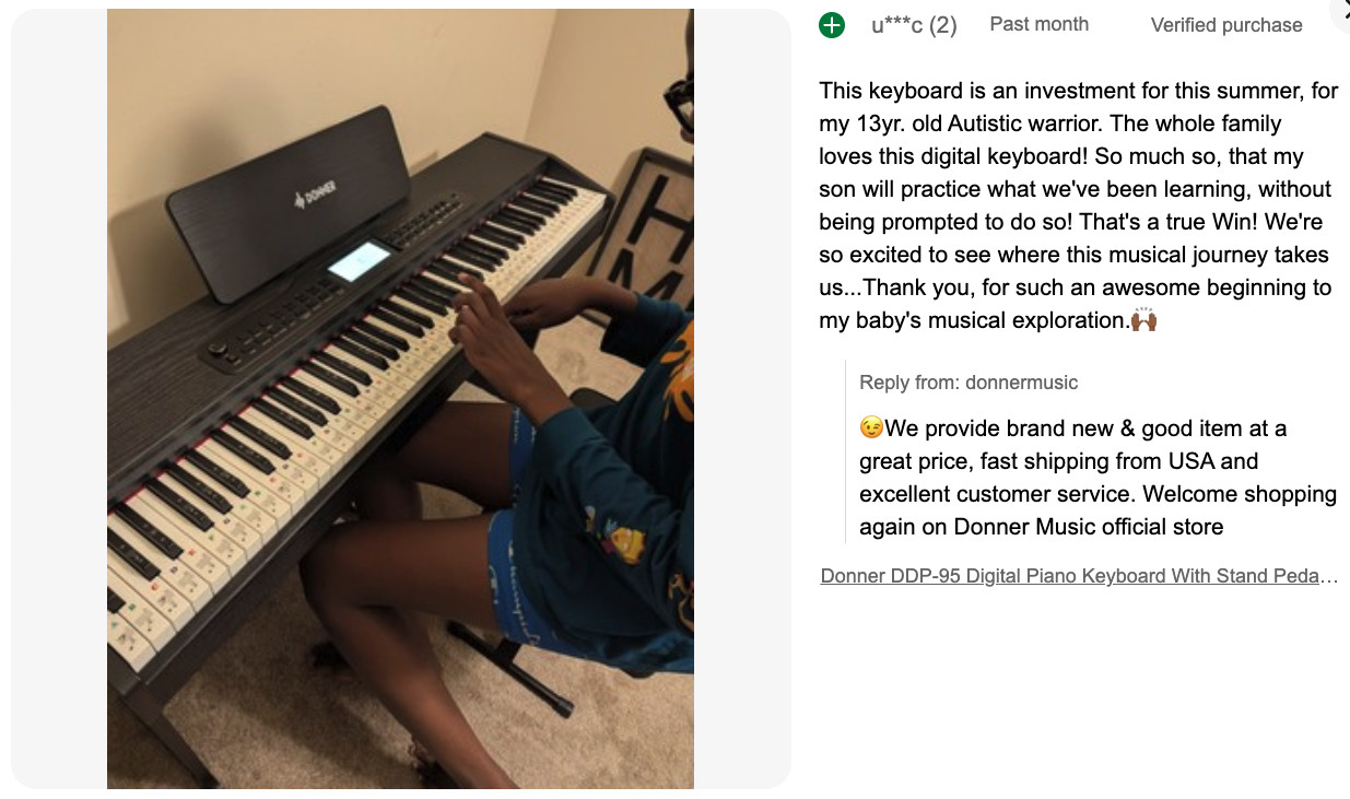 Donner DDP-95 88-Key Weighted Digital Piano with Stand Pedal