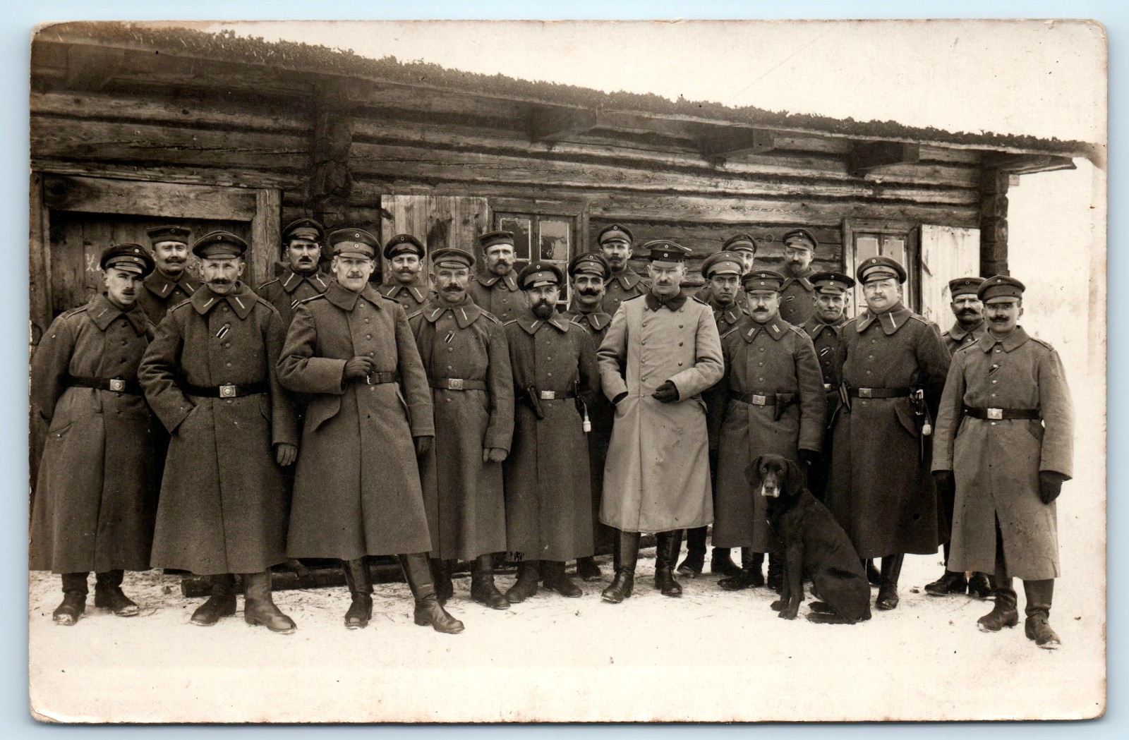 WWI Dog German Army Soldiers Pistol Holsters EKII Ribbon Real Photo Postcard