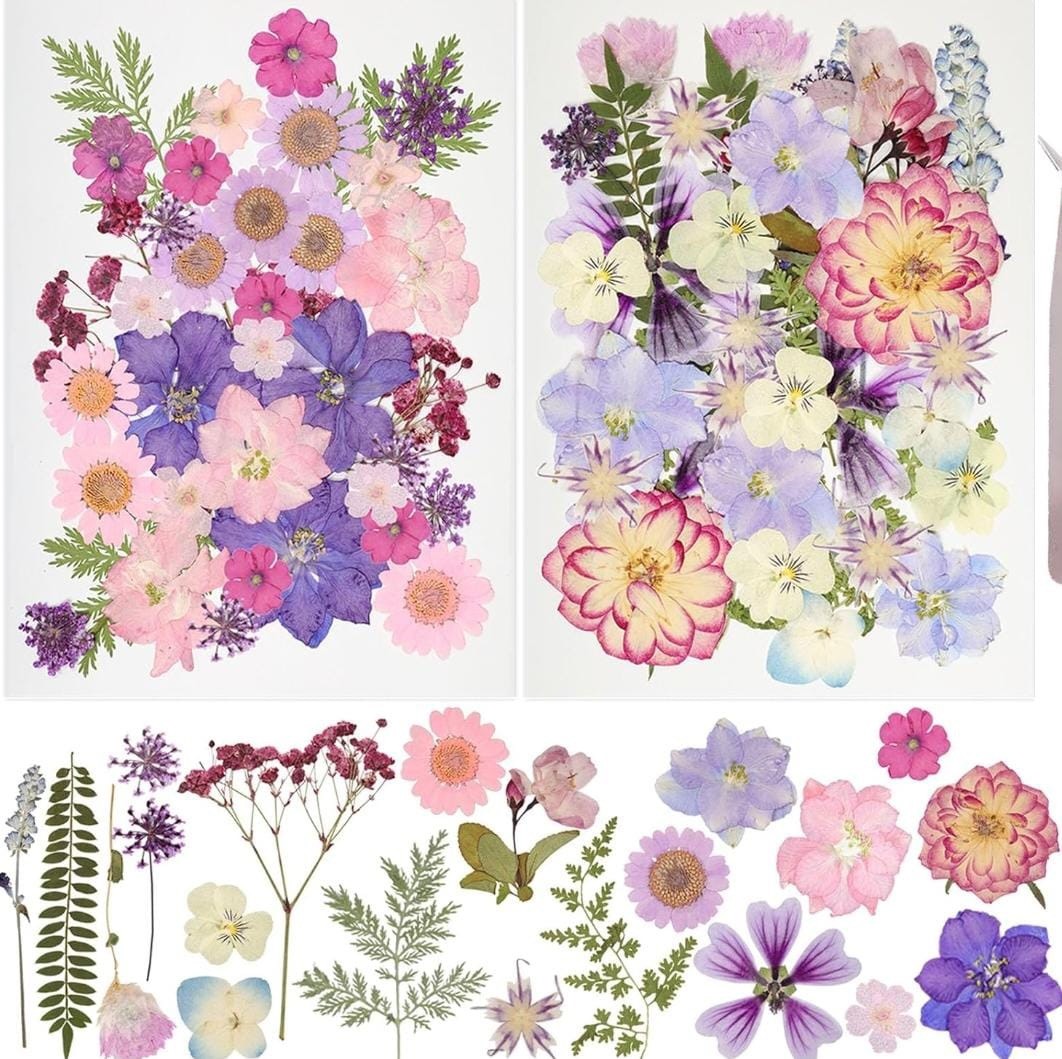 50Pcs Dried Pressed Flowers Resin Mould Real Pressed Flowers Natural Dry Leaves