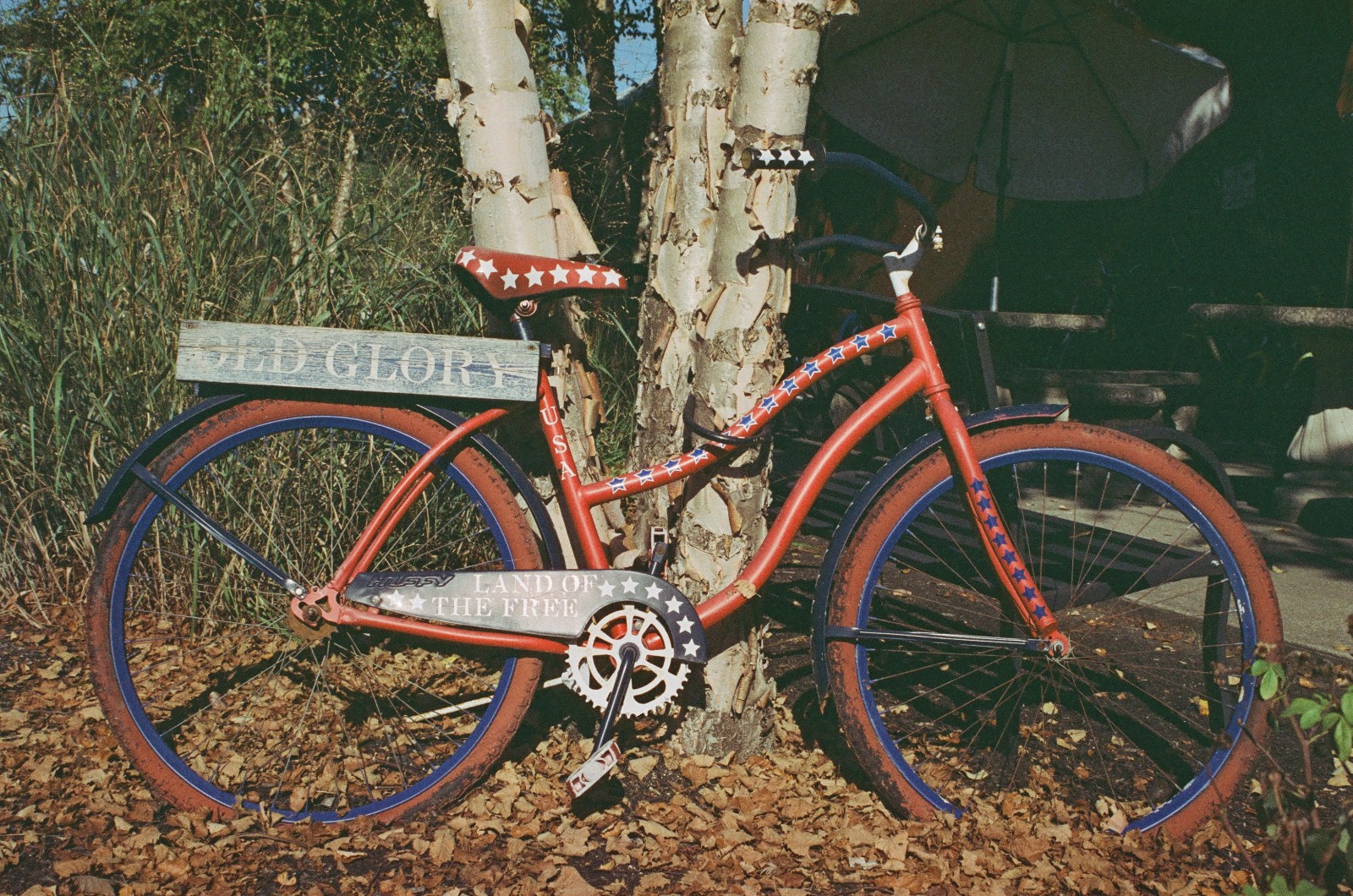 MYSTIC MOTION - 35mm Color Negative Movie Film 100D - 24 exp Process ECN-2