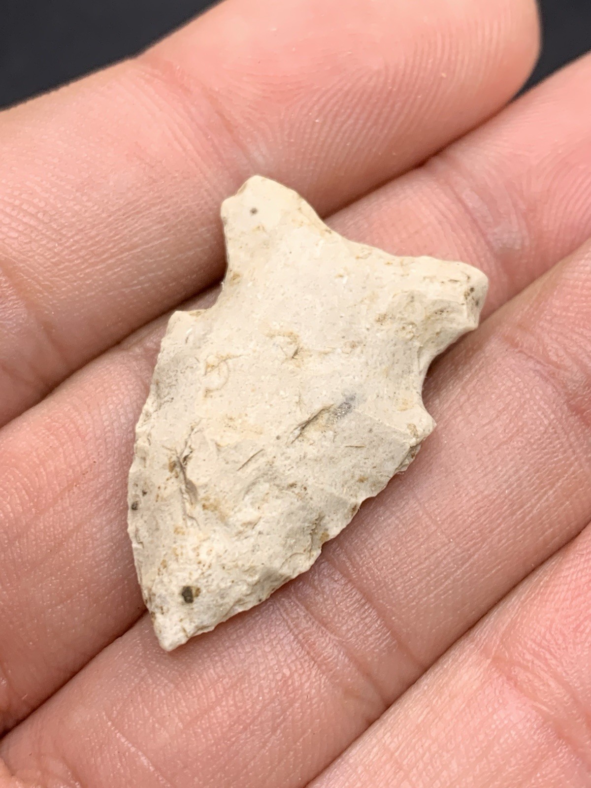 Authentic Archaic Side Notch Arrowhead From Knox Co Indiana 1 1/4 Inch Vinciness
