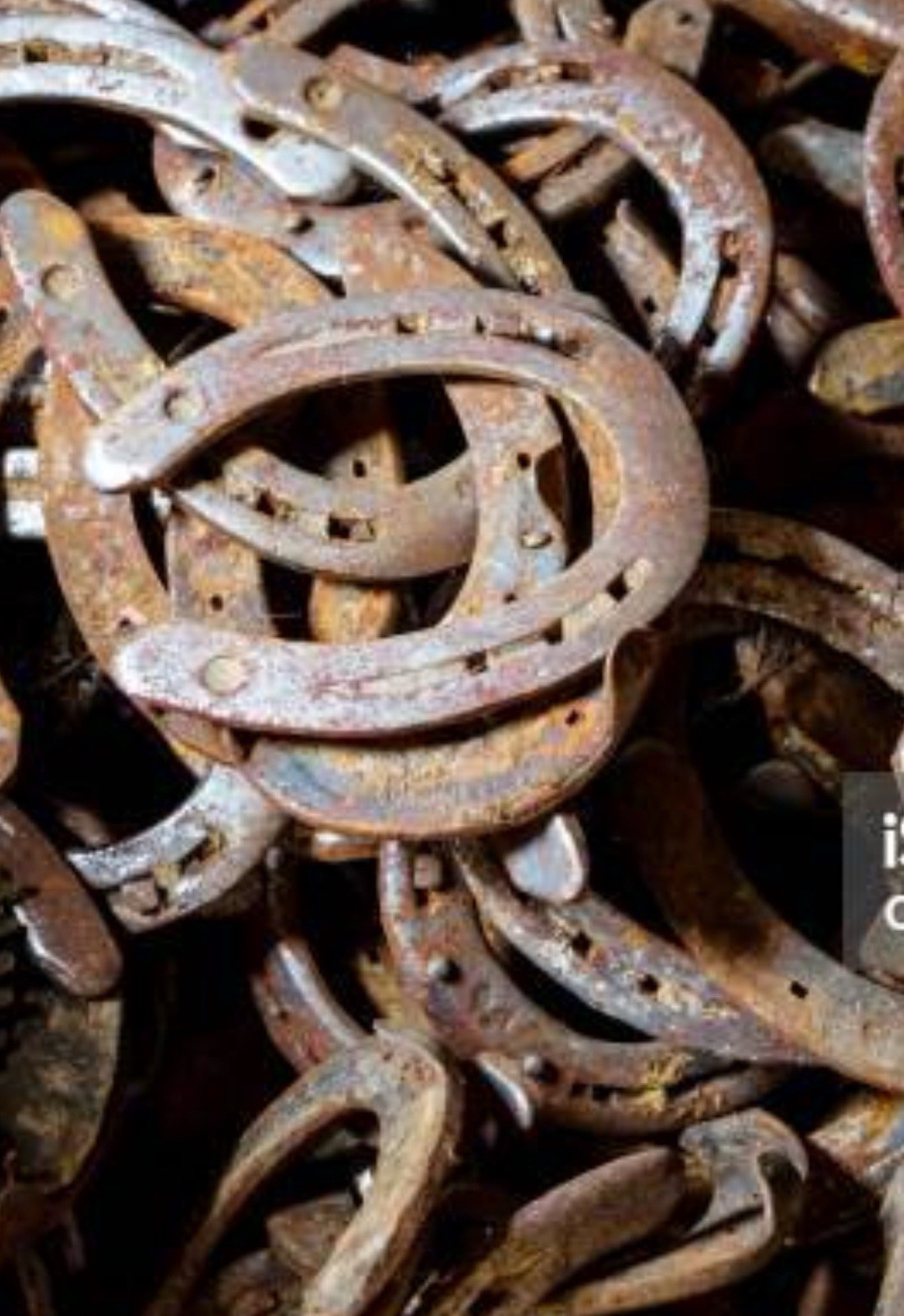 Used Steel Horseshoes