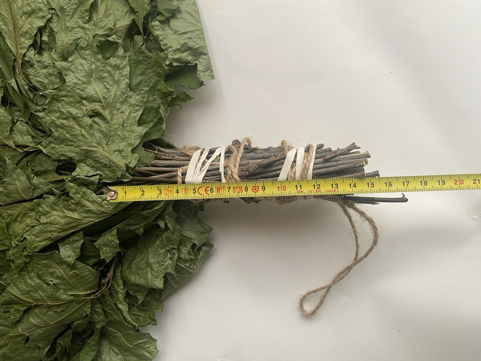 12 Oak brooms sauna banya venik Eiche whisks eco 2025 Ukrainian