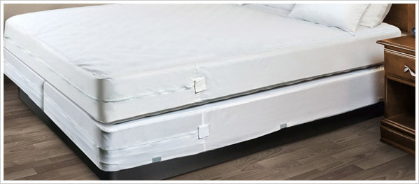 BEST SELLER! Bed Bug PROTECTOR Soft Lux FABRIC ~ Allergen Zipper MATTRESS COVER