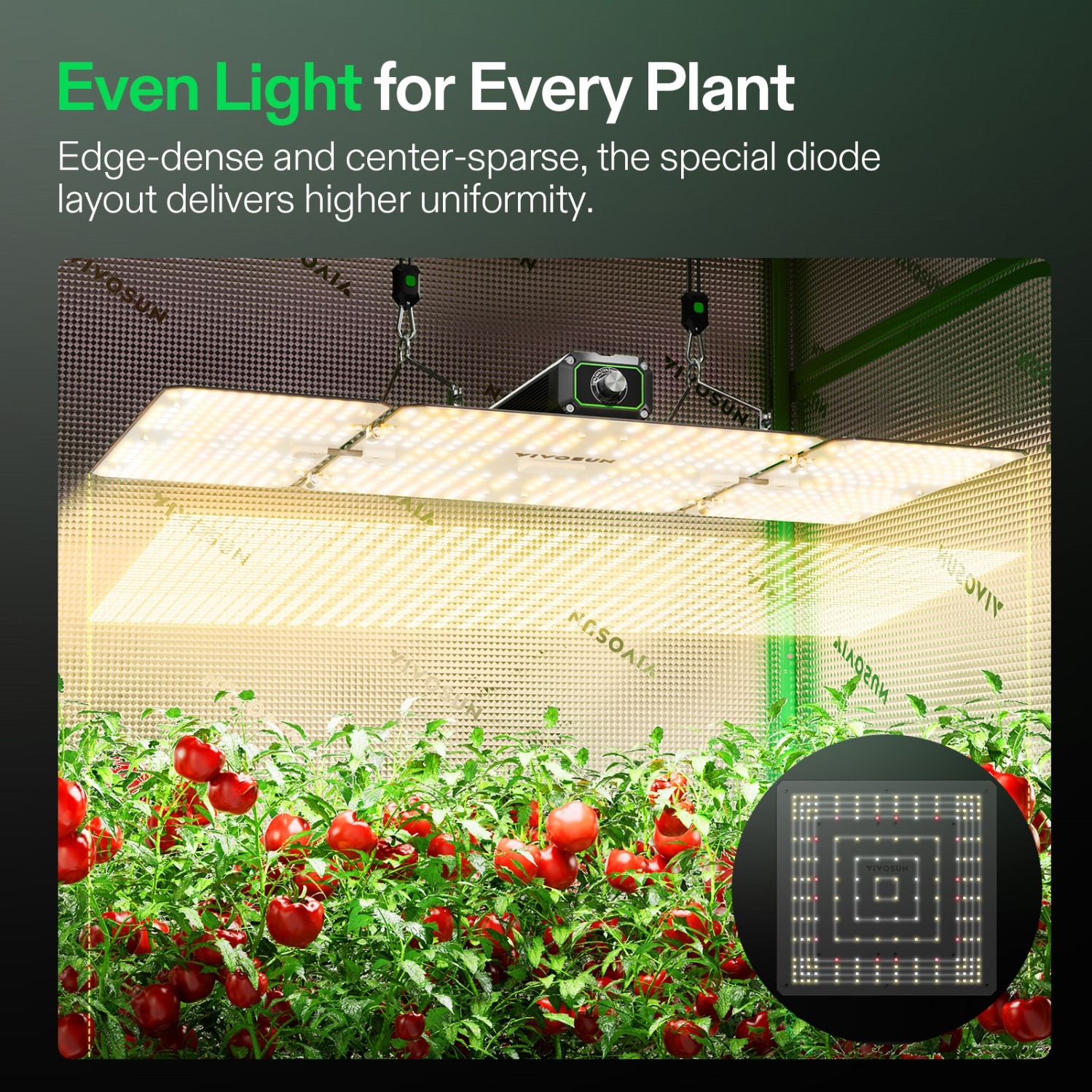 VIVOSUN Updated LumaLight 200W LED Grow Light Full Spectrum for Indoor Planting