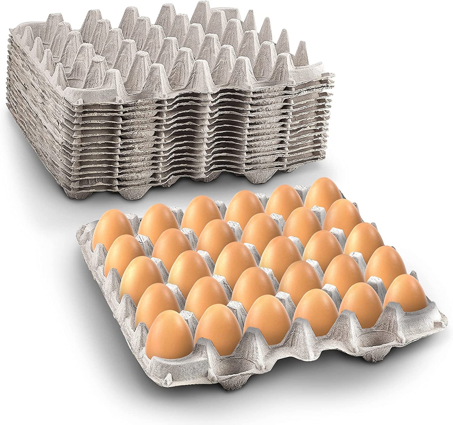 MT Products Pulp Flat Egg Cartons | Stores 30 Large to Small Eggs - Pack of 15