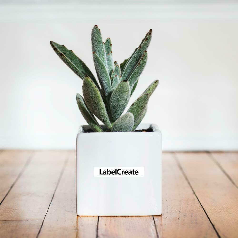 DymoLT 91330 Letratag Refills Compatible with Dymo Label Maker Tape 12mm 5 PK