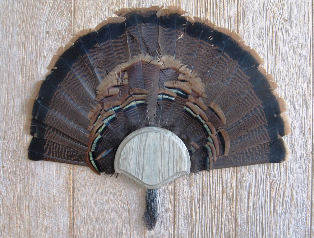 Weathered Wood Turkey Fan / Beard Mounting Kit -01